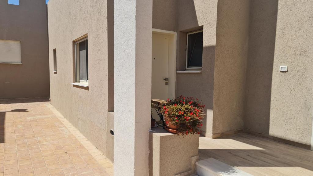 Alex's Desert Place photo 4