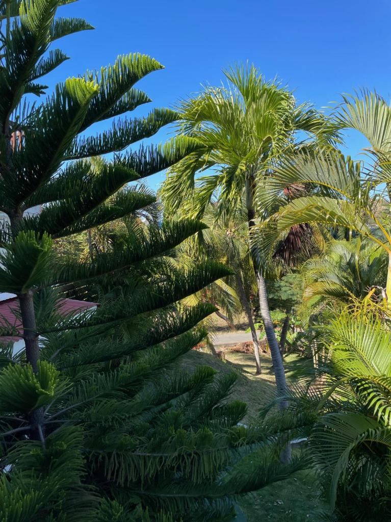 JARDIN SUR MER