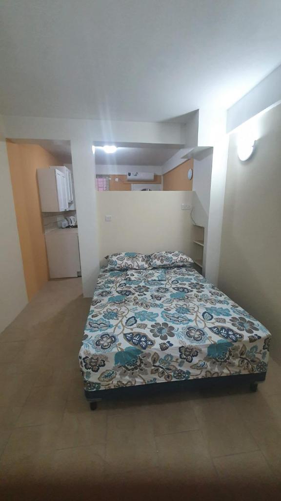 2 minutes from Roseau, Cozy studio with shared pool photo 4