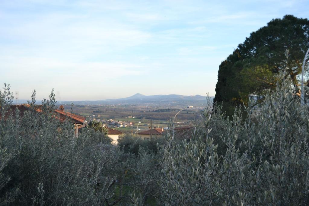 OPERA21 TUSCANY SINGLE HOUSE LUCIGNANO photo 3