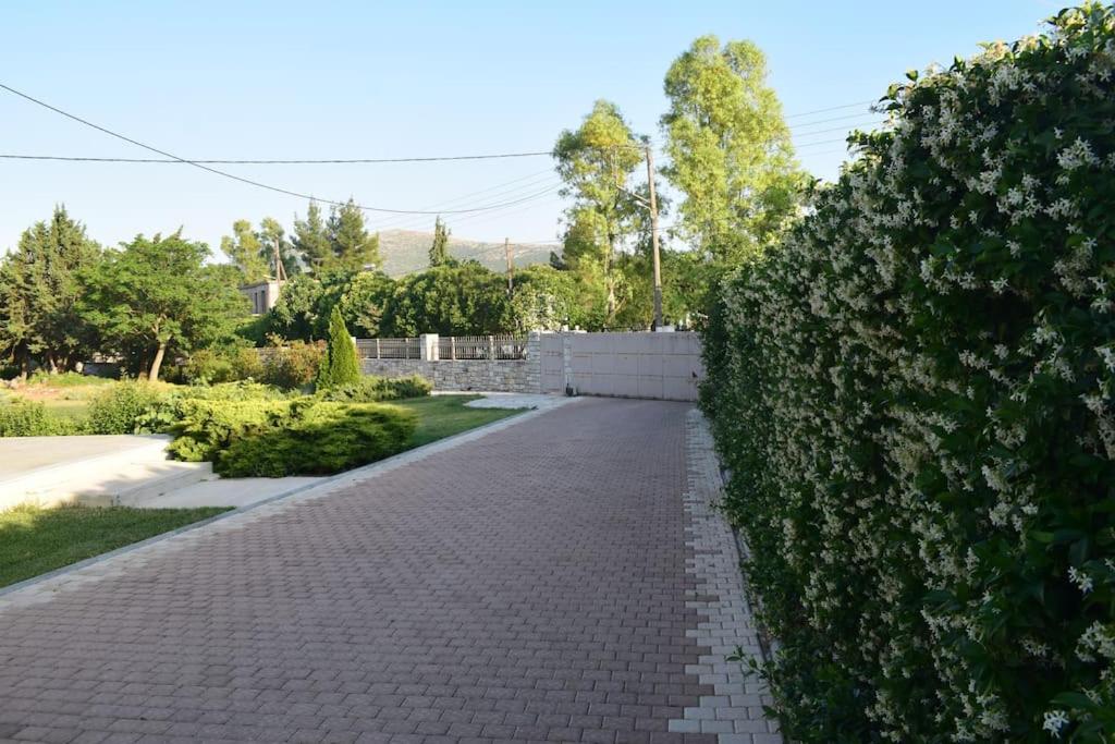 Βίλα Εύη photo 1