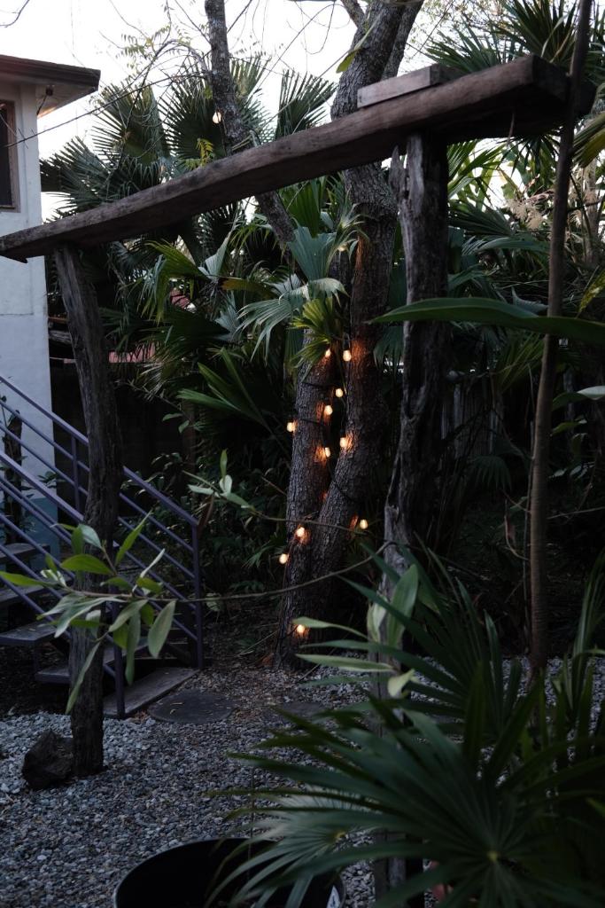 kaabna spa photo 4