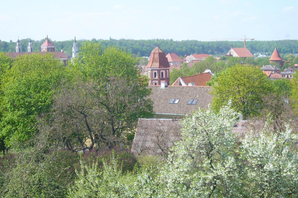 Студио (Номер-студио), Family Hotel Каунас