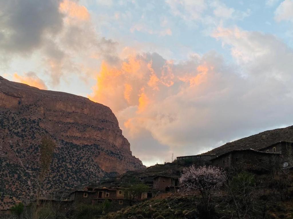 Taghia photo 3