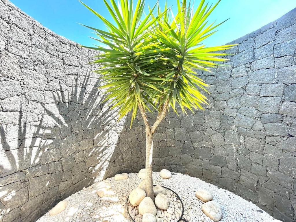 Villa B Mamma Mia Playa Blanca Lanzarote photo 2