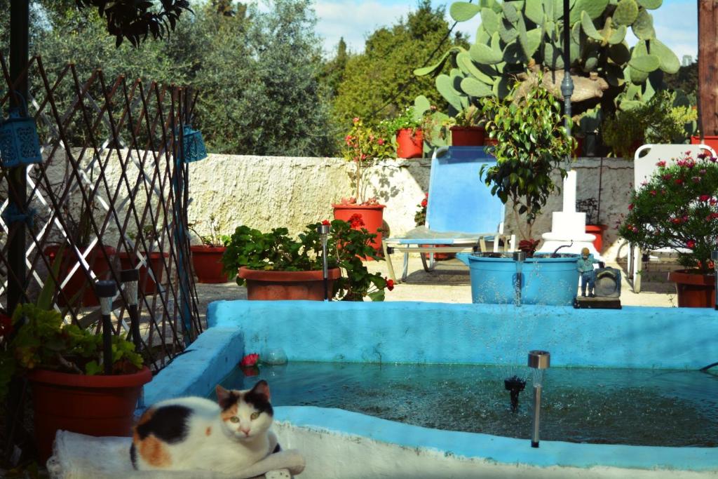 Moumouri's House photo 1