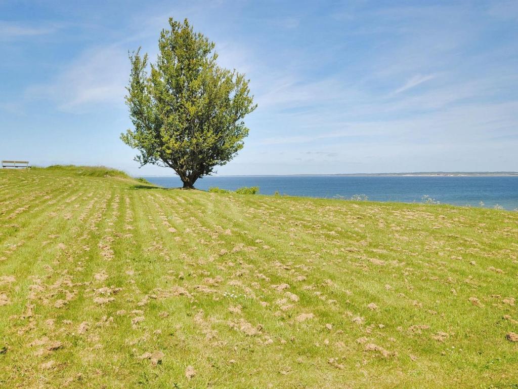Holiday Home Calla - 100m to the inlet in The Liim Fiord by Interhome photo 2