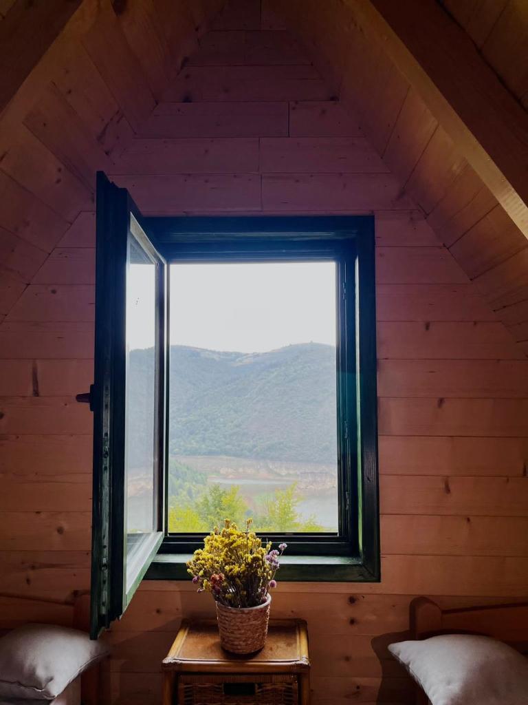 Brvnare Puljci photo 2