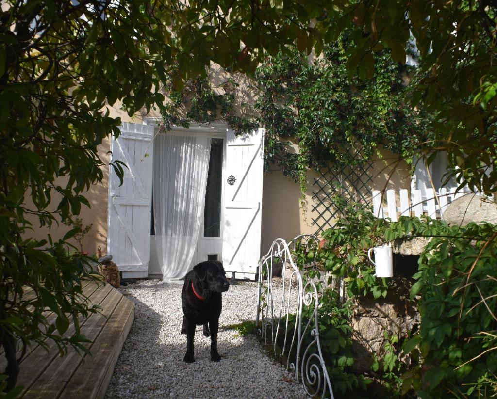 L'Occitania Chambre d'hotes photo 1