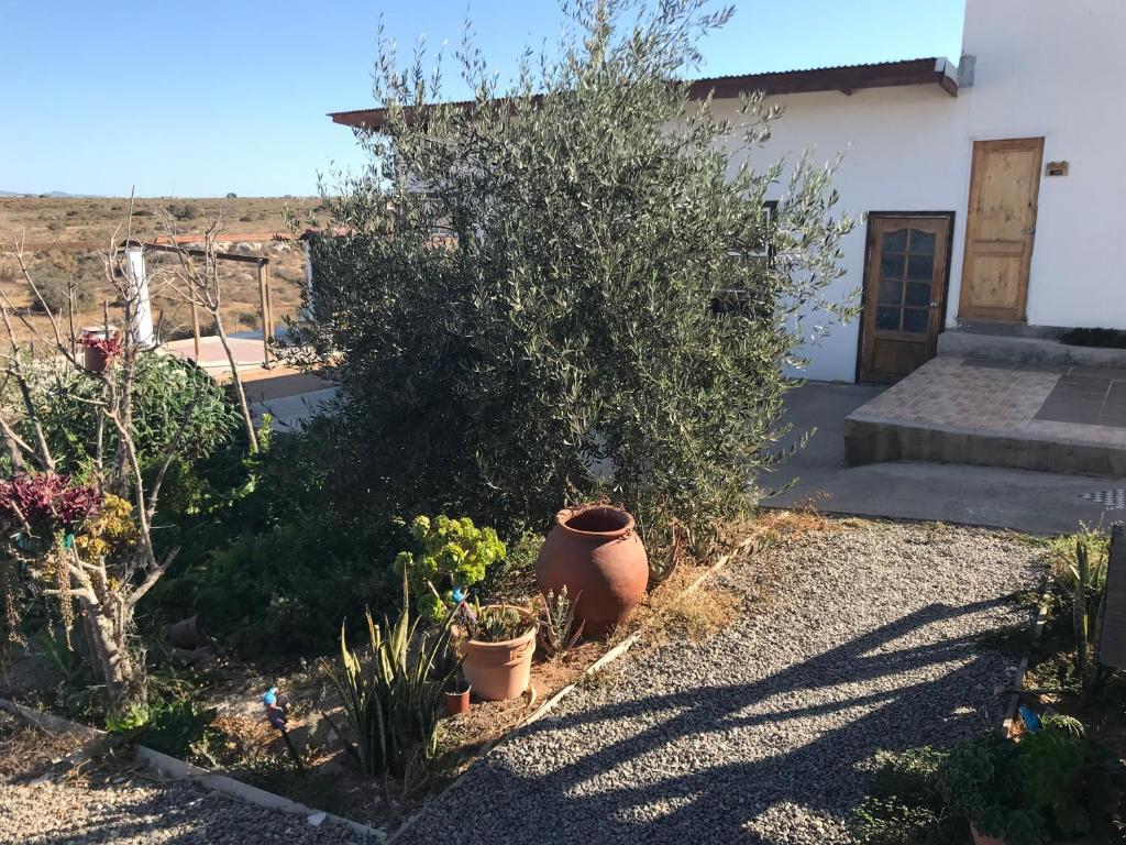 Eco Lodge Loro Tuerto photo 4