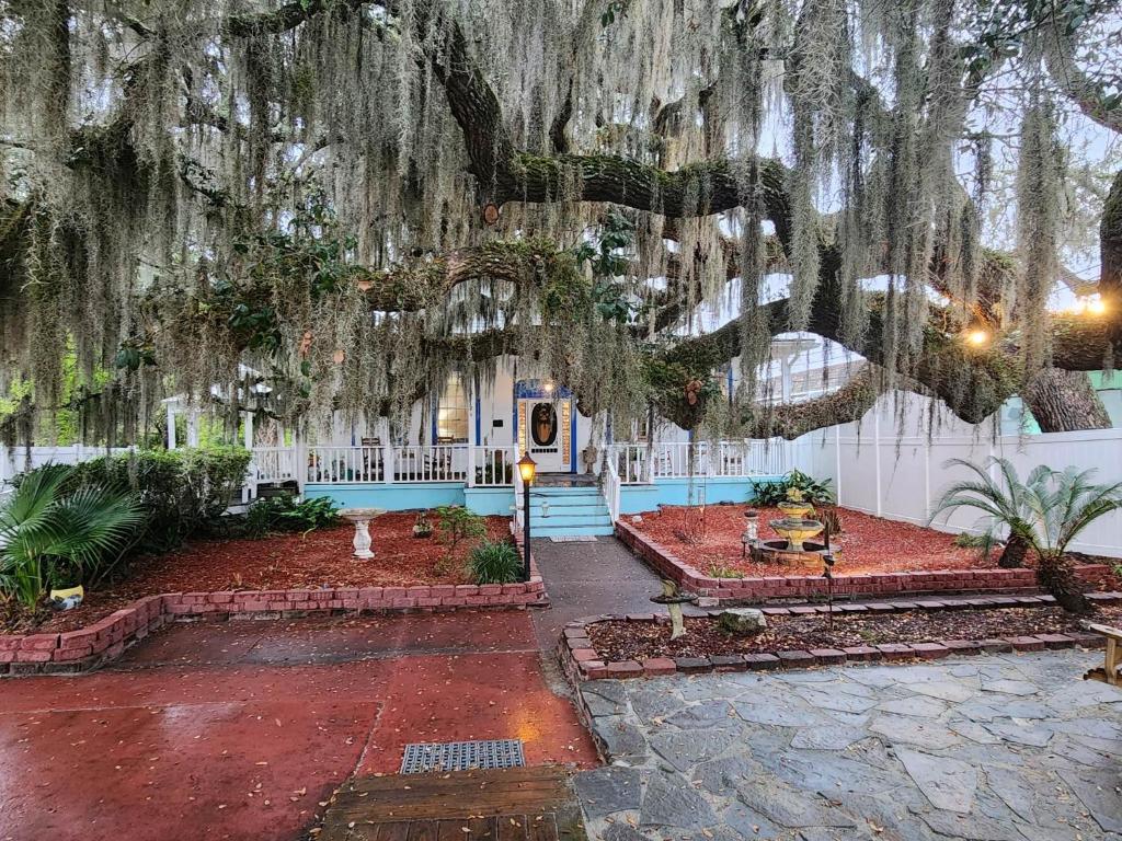 Tybee Island Inn Bed & Breakfast photo 3