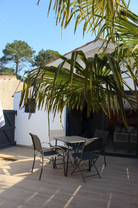 Maisonnette 2 pièces 100m de la plage de la Clère photo 4