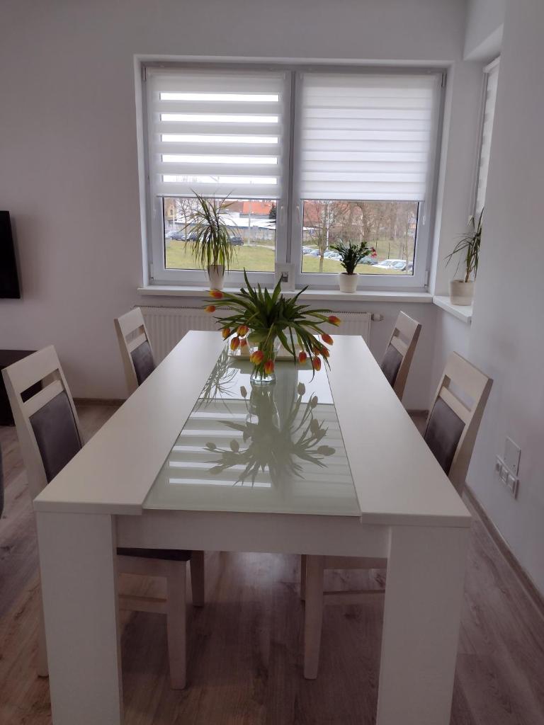 Apartament Jagielloński photo 1