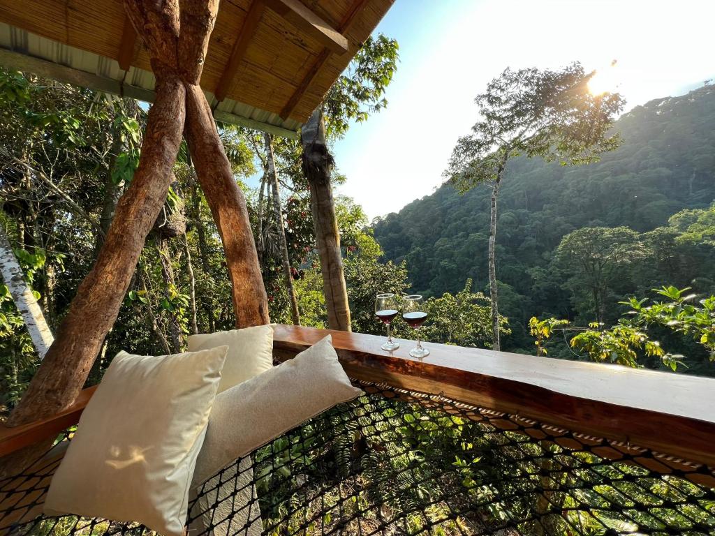 Wild Wasi Lodge - Adventures - Guided Tours photo 3