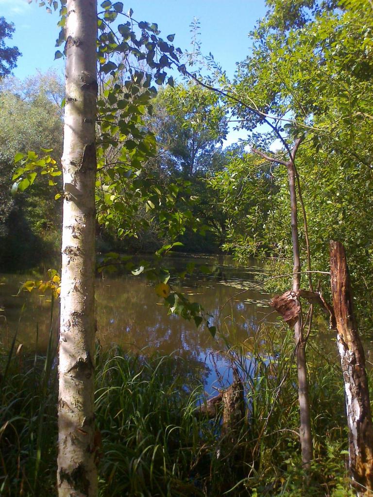 Spreewaldunterkunft Buchecker photo 3