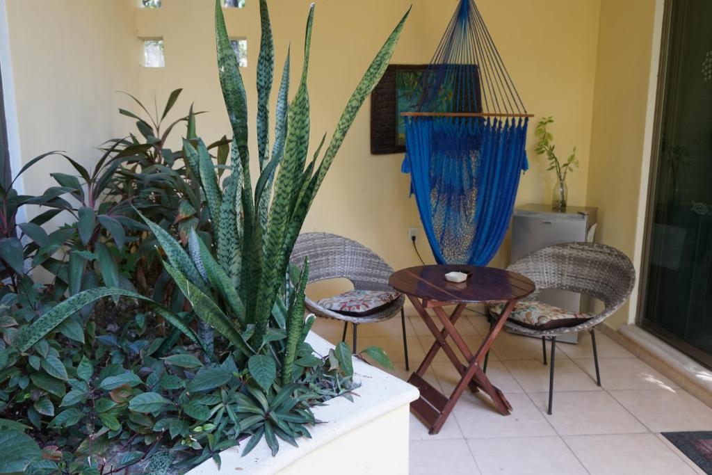 Villas Akalan photo 1