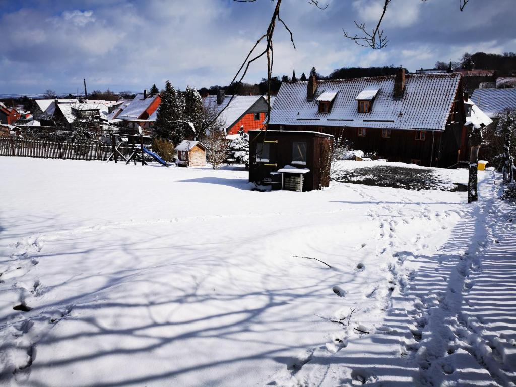 Birke photo 1