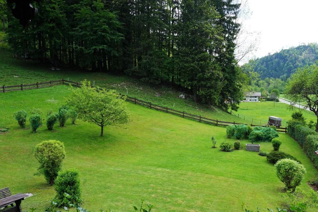Gästehaus Fellner photo 3