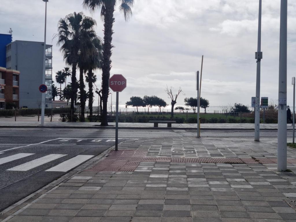 Pareado Mediterrania photo 4
