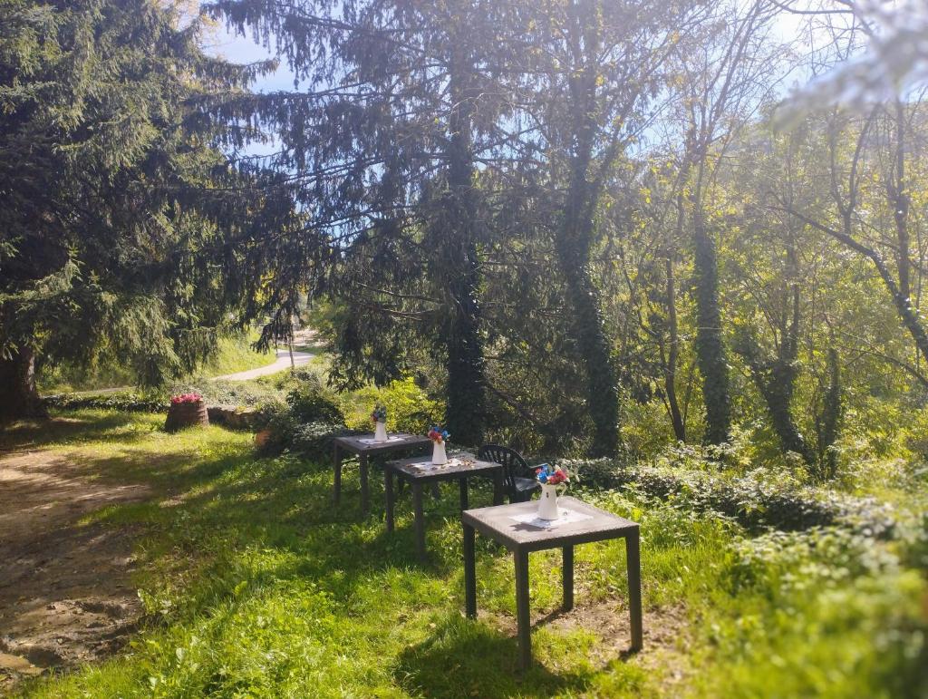 Hostal La vall photo 4