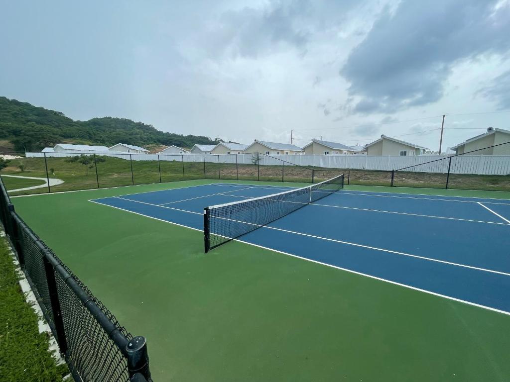 Starr & Adams Caribbean Oasis photo 3