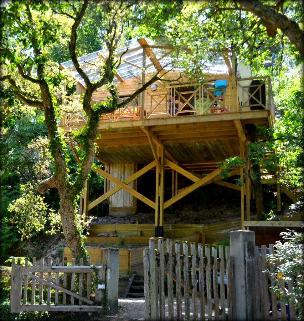 Cabane ''Robinson'' dans les arbres de Nature et Océan à côté de la plage photo 2