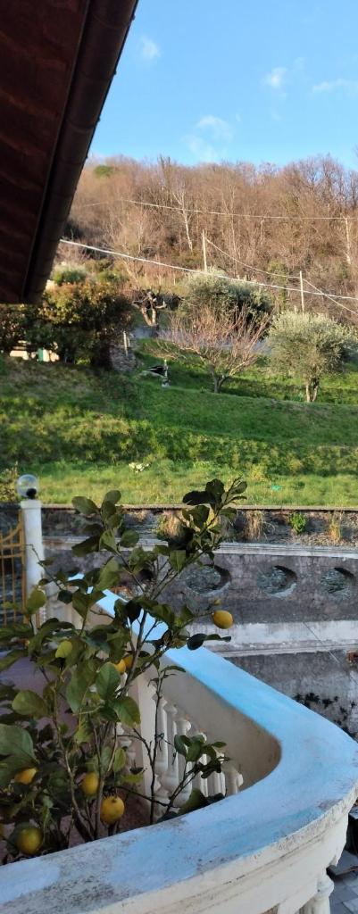 CasarinoLaurino Valle Del Golfo Healthy Air Hills And Sea photo 4