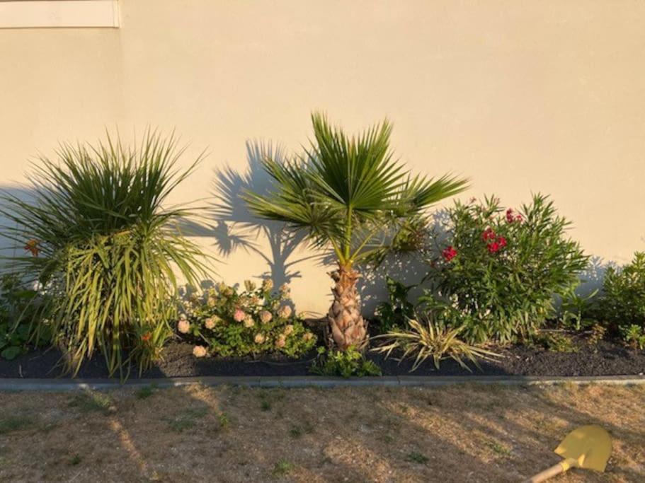 La Villa Omaha YourHostHelper photo 3