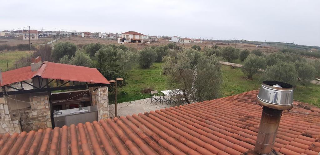 Aristos1981 photo 2