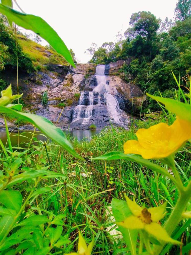 DILSHAN HOTEL Diyaluma