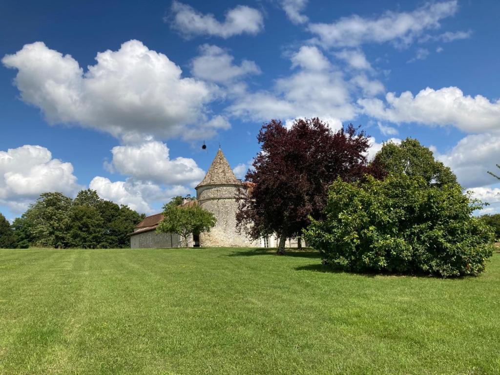 Château de caractère avec piscine au cœur du Périgord vert photo 4