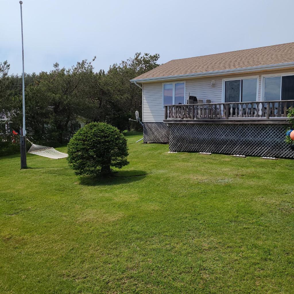 Sleepy Pines Oceanfront Cottages photo 4