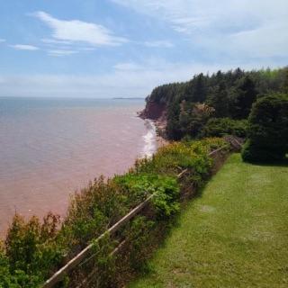 Sleepy Pines Oceanfront Cottages photo 1