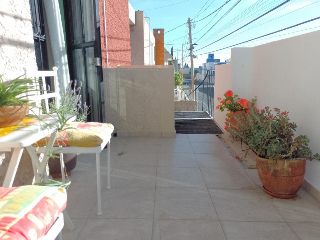 Habitación independiente colibrí photo 3