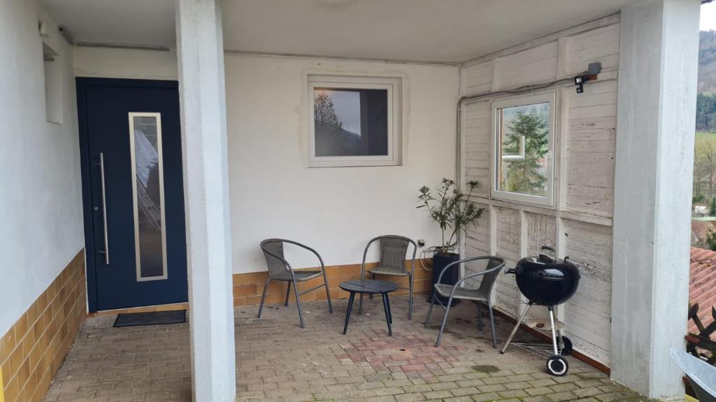 Fridolin photo 3