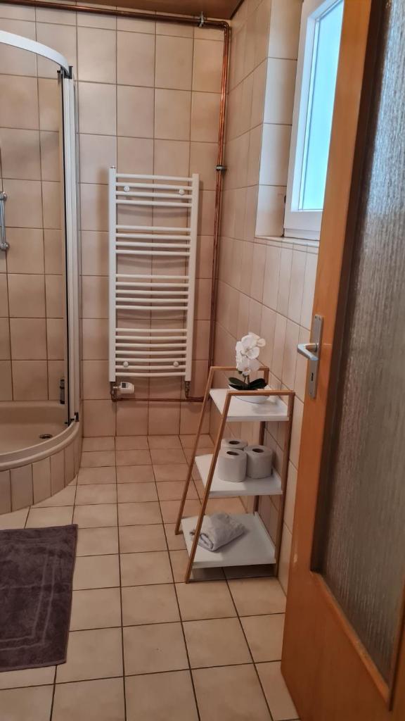 Fridolin photo 4