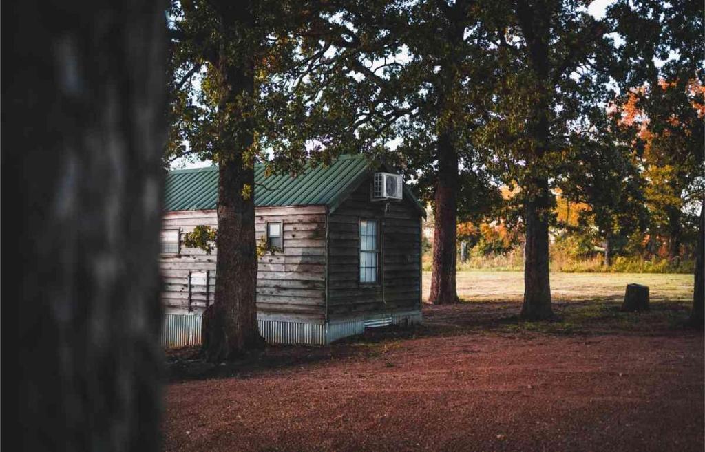 Lakefront Cedar Cabin - 6 photo 3