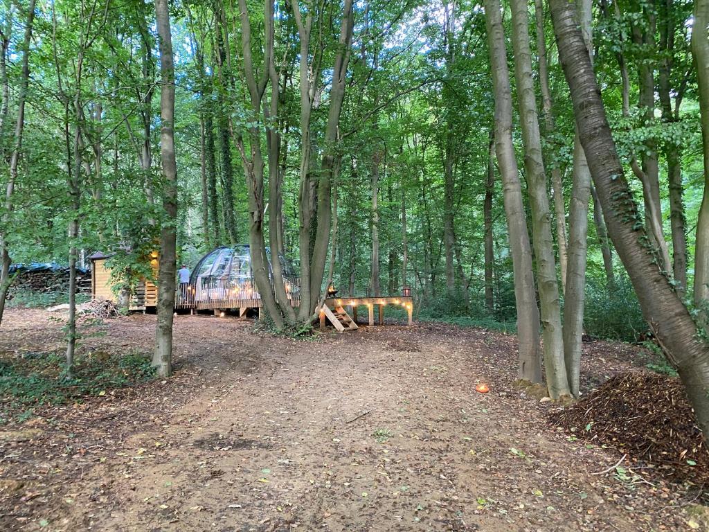 Le Dôme de Namur - Une nuit insolite dans les bois photo 3