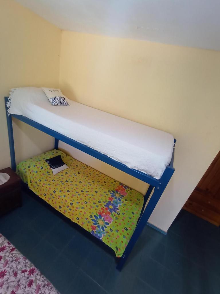 TU LUGAR photo 2