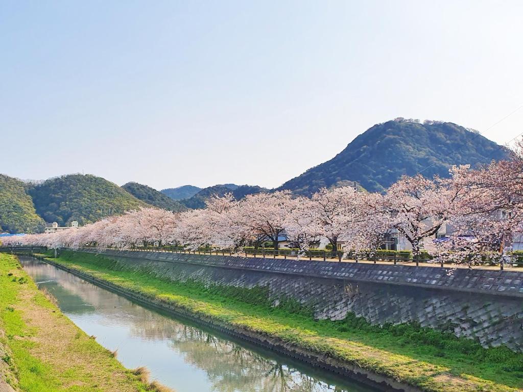 Whole house rental 一棟貸切宿 "Your Home Tottori" 市内中心地近くの素敵な一軒家 photo 4