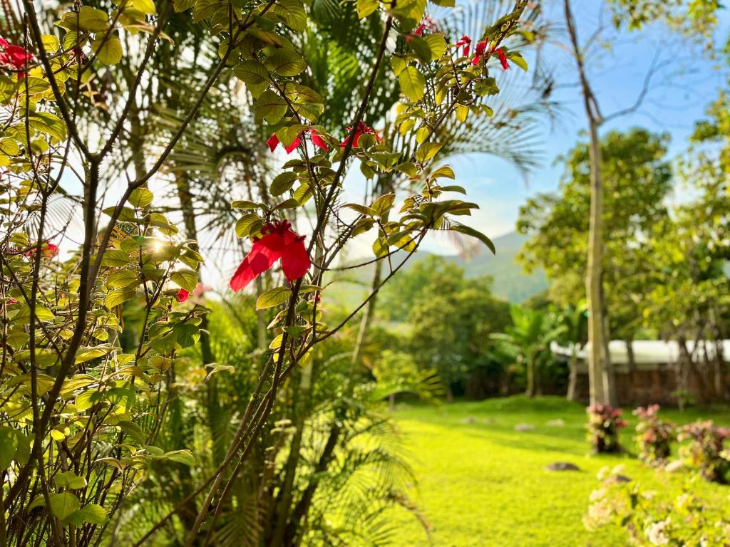 Finca Villa Melita, Privada en Piedecuesta photo 1