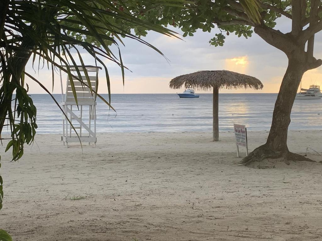 Relax in Jamaica - Enjoy 7 Miles of White Sand Beach! villa photo 4