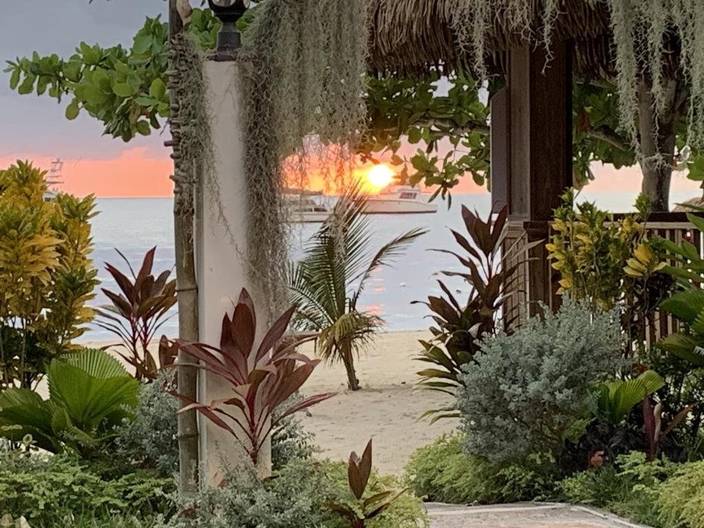 Comfy Stay in Jamaica -Enjoy 7 Miles of White Sand Beach! villa photo 4