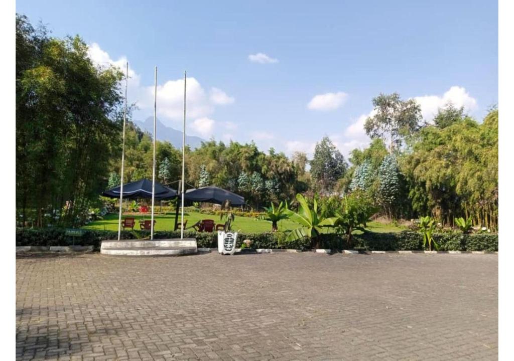 Le Bambou Gorilla Lodge photo 2