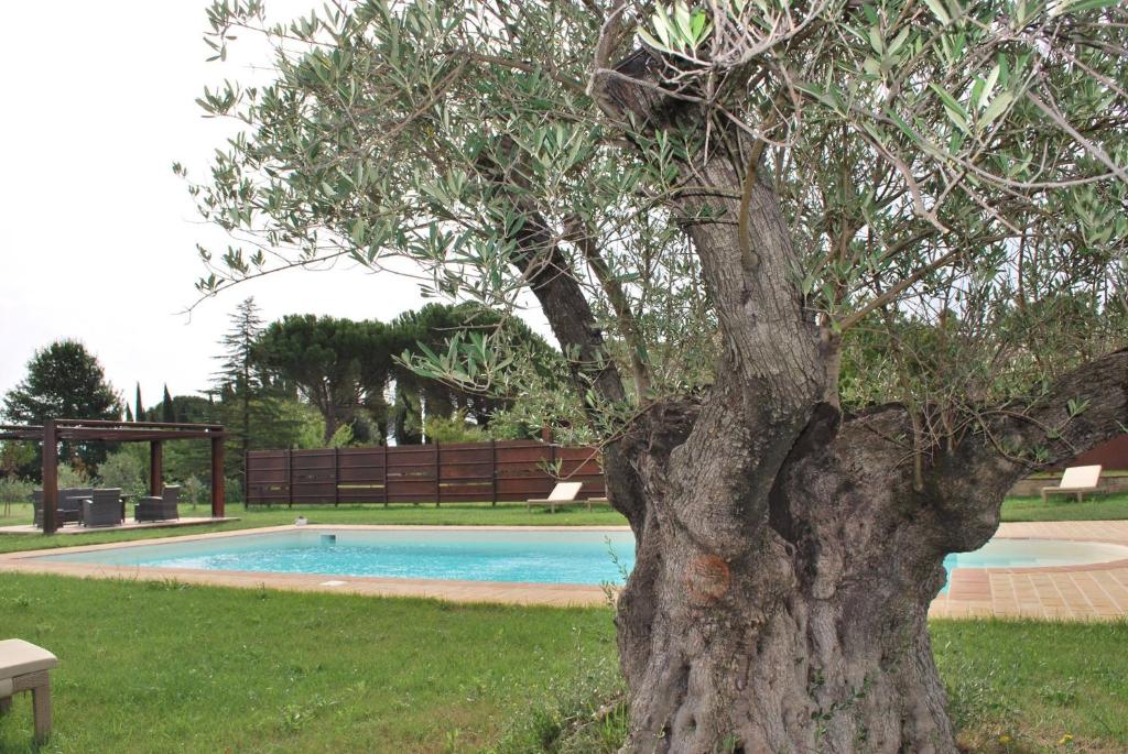 B&B Cuor Di Lavanda photo 1