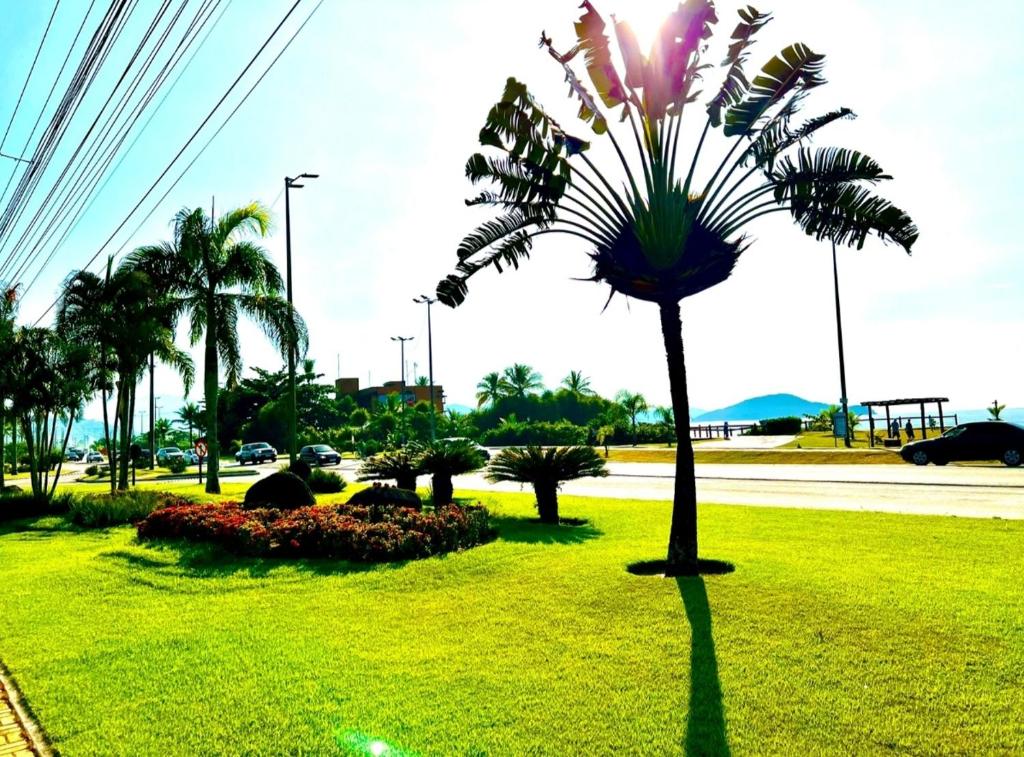 Casa de Praia/Massaguaçu photo 1