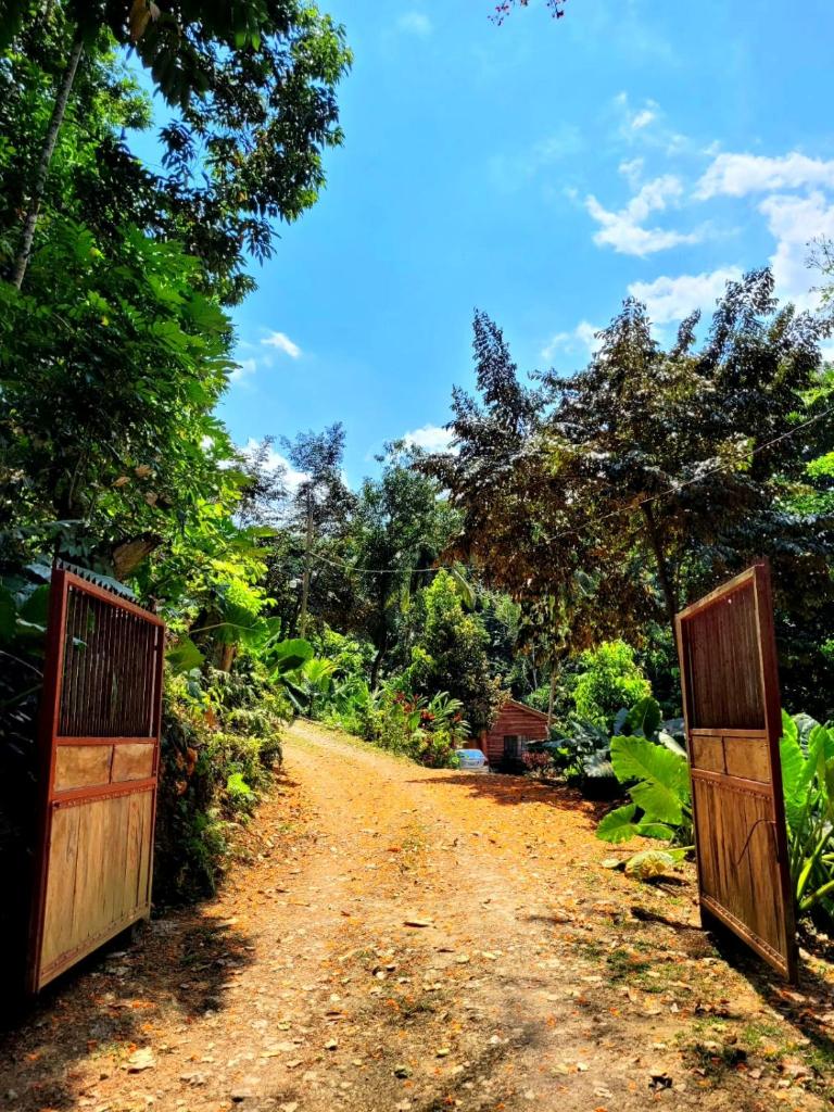 Ecoscape Jamaica - Cottages by the river photo 3