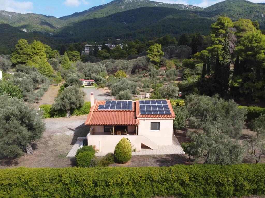 Green House - Εξοχική κατοικία με μεγάλο κήπο photo 2