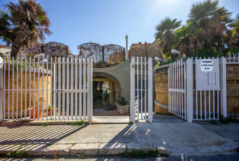 M'Place - Mondello Residence photo 4
