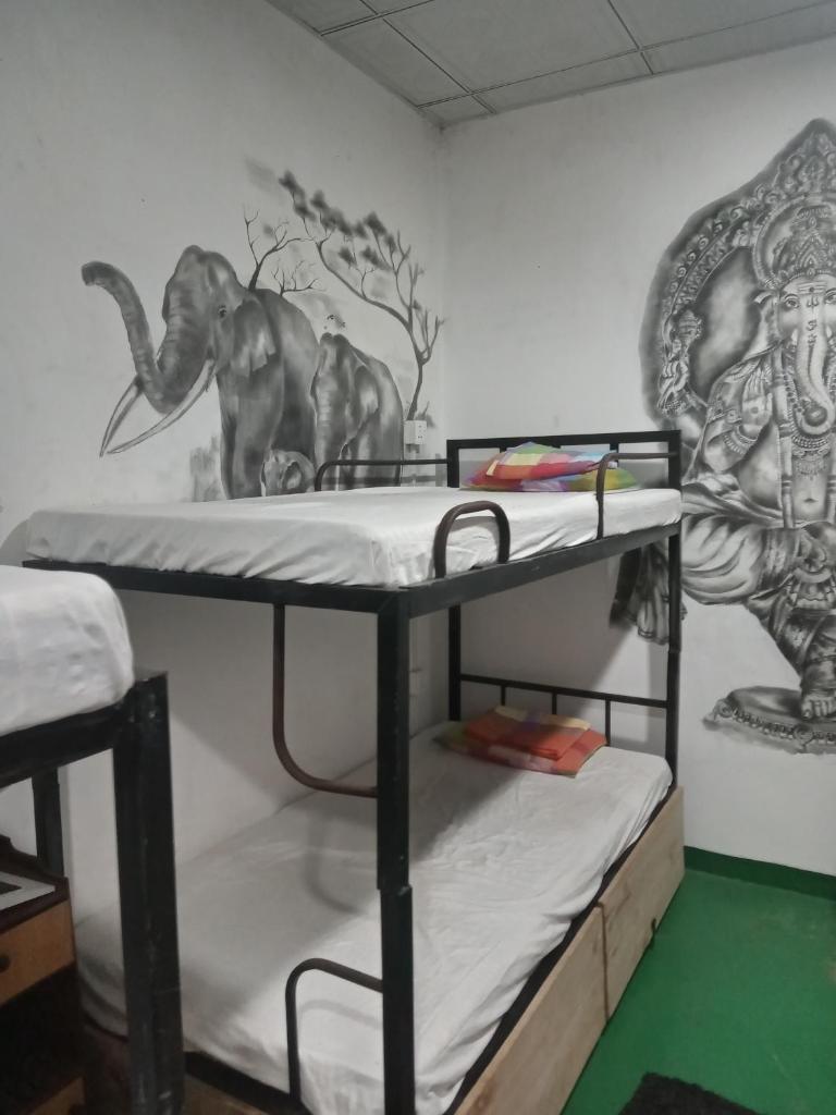 Hostel Taru surf camp and restaurant photo 2